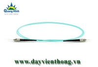 Dây nhảy quang ST-ST Simplex 10G OM3 50/125 Multimode Fiber Patch Cable